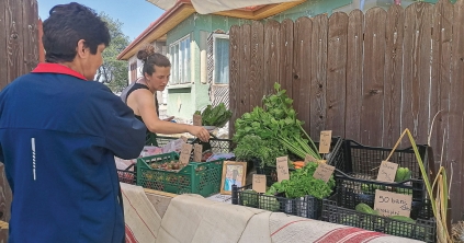 Összetett követelményrendszer